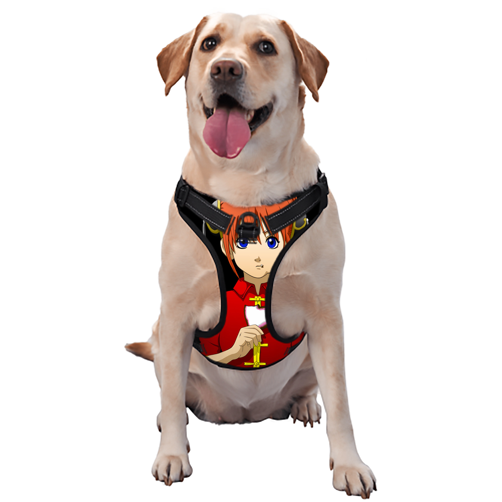 （画像用） ぎんたま 坂田銀時（さかたぎんとき） 神楽 志村新八（しむら しんぱち） GINTAMA Sakata Gintoki Kagura Shimura Shinpachi ペット用ハーネス